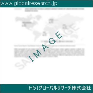 グローバルリサーチ調査資料のイメージ